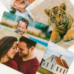 Luster, Matte, and Metallic Paper Prints