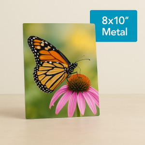 8" x 10" Metal Print