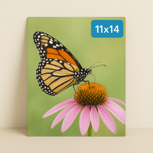 11" x 14" Metal Print