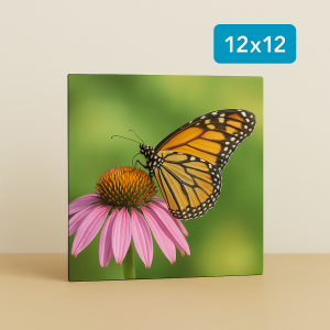 12" x 12" Metal Print