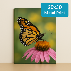 20" x 30" Metal Print